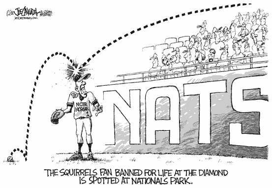 sports cartoon